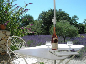 Le clos des lavandes-Luberon